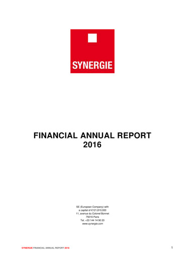 Thumbnail Synergie SE Financial Report 2016