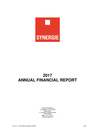 Thumbnail Synergie SE Financial Report 2017
