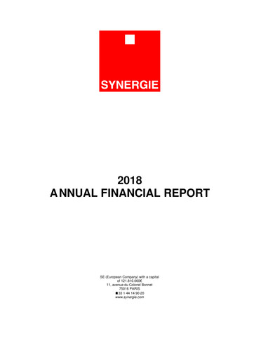 Thumbnail Synergie SE Financial Report 2018