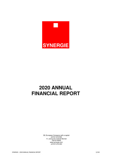 Thumbnail Synergie SE Financial Report 2020