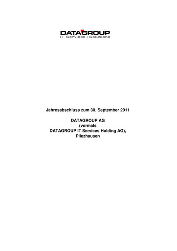 Thumbnail DATAGROUP SE Financial Statement 2010-2011