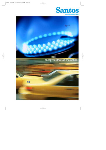 Miniature Santos
 Rapport annuel 1999