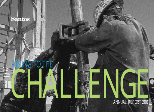 Miniature Santos
 Rapport annuel 2001