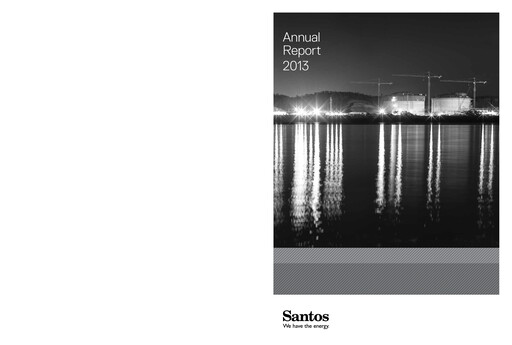 Miniature Santos
 Rapport annuel 2013