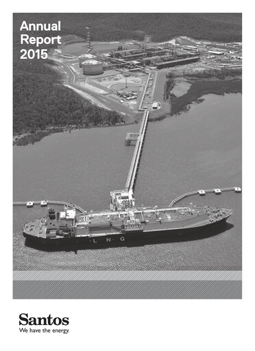Miniature Santos
 Rapport annuel 2015