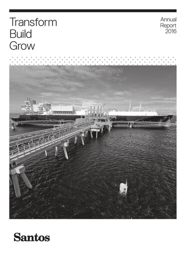 Miniature Santos
 Rapport annuel 2016