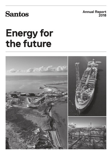 Miniature Santos
 Rapport annuel 2018