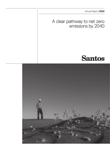 Miniature Santos
 Rapport annuel 2020