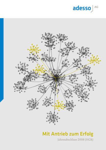 Thumbnail adesso SE Financial Statement 2008