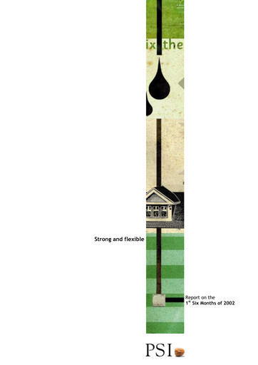 Thumbnail PSI Software Half-year Report 2002-h1