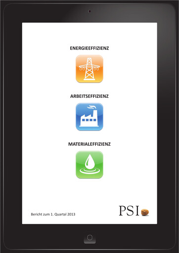 Thumbnail PSI Software Quarterly Report 2013-q1