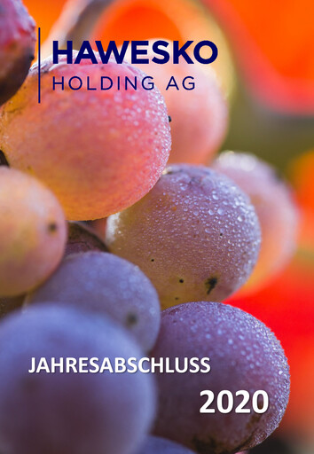 Thumbnail Hawesko Financial Statement 2020