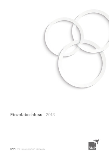Thumbnail SNP Schneider-Neureither & Partner Financial Statement 2013