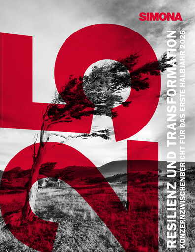 Miniature Simona Rapport semestriel 2025-h1