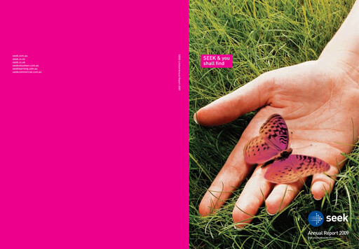 Miniature Seek Limited
 Rapport annuel 2009