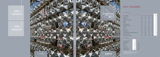 Miniature KAP AG Rapport annuel 2017