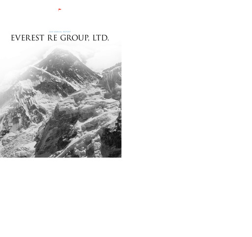 Thumbnail Everest Group Annual Report 2009