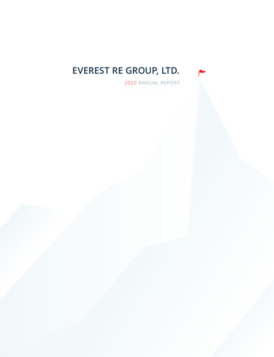 Thumbnail Everest Group Annual Report 2020