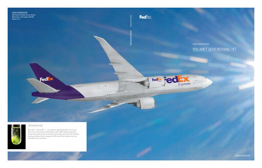 Thumbnail FedEx Annual Report 2010
