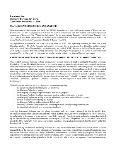 Thumbnail kneat.com Financial Report 2016