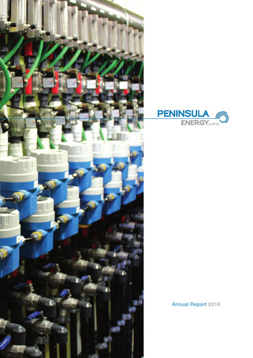 Thumbnail Peninsula Energy Annual Report 2018