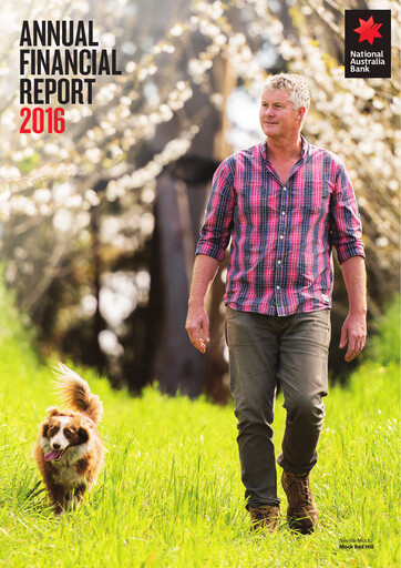 Vorschaubild National Australia Bank Finanzmitteilung 2016