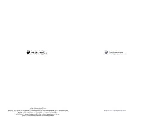 Miniature Motorola Solutions
 Rapport annuel 2002