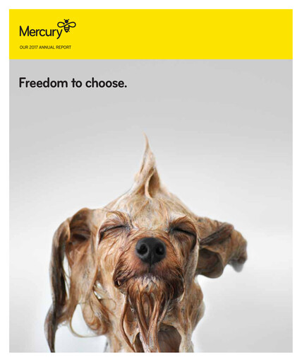 Thumbnail Mercury NZ Annual Report 2017