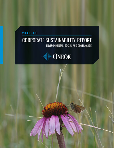 Thumbnail Oneok Sustainability Report 2018-2019