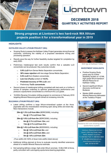 Vorschaubild Liontown Resources
 Quartalsbericht 2019-q2