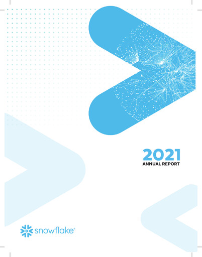 Vorschaubild Snowflake Jahresbericht 2021