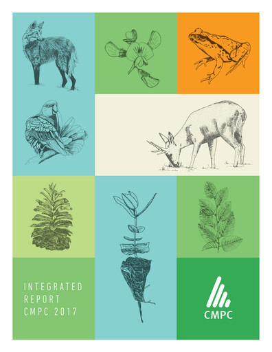 Thumbnail Empresas CMPC Annual Report 2017