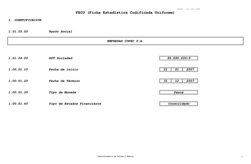 Thumbnail Empresas Copec Financial Statement 2007