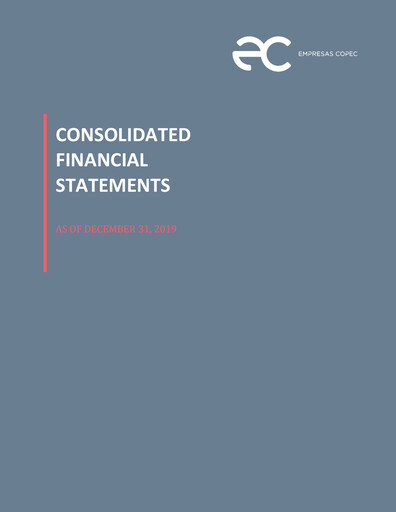 Thumbnail Empresas Copec Financial Statement 2019