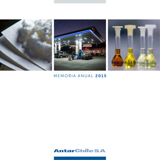 Thumbnail AntarChile
 Annual Report 2015