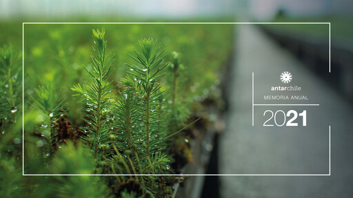 Thumbnail AntarChile
 Annual Report 2021