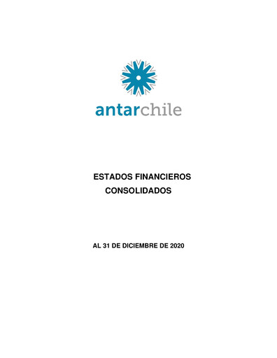 Thumbnail AntarChile
 Financial Statement 2020