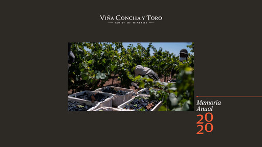 Thumbnail Viña Concha y Toro Annual Report 2020