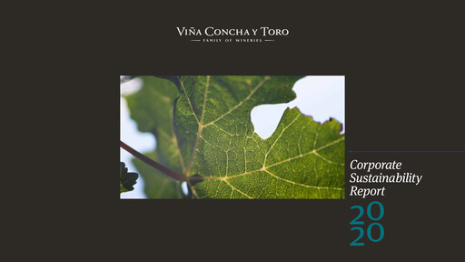 Thumbnail Viña Concha y Toro Sustainability Report 2020