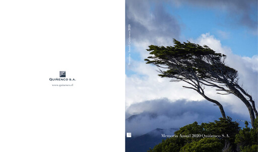 Thumbnail Quiñenco
 Annual Report 2020