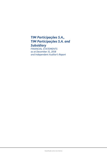 Miniature TIM S.A. Bilan financier 2018