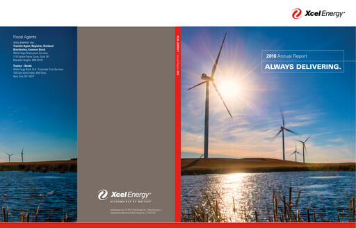 Thumbnail Xcel Energy Annual Report 2016