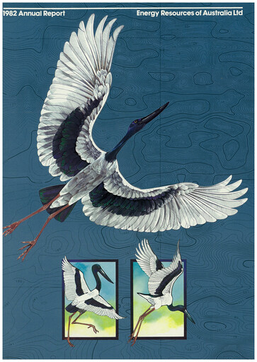Thumbnail Energy Resources of Australia Annual Report 1982