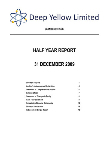 Thumbnail Deep Yellow Financial Report 2010-h1