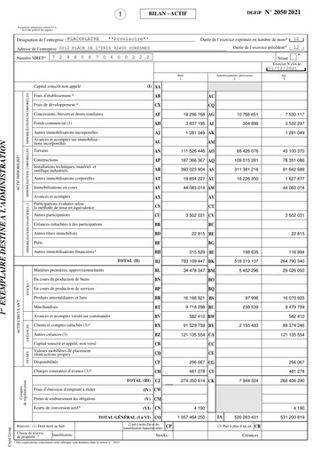 Thumbnail Placoplatre Financial Statement 2021