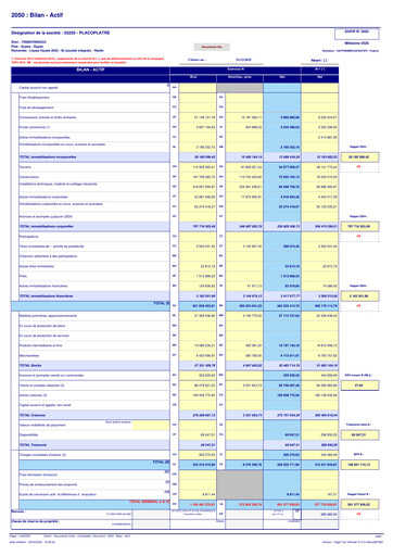 Thumbnail Placoplatre Financial Statement 2025