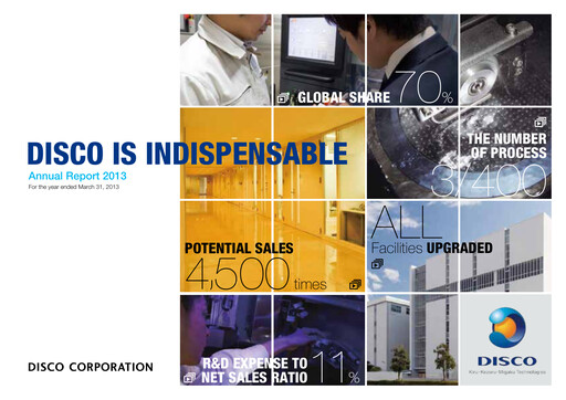 Thumbnail Disco Corp. Annual Report 2013