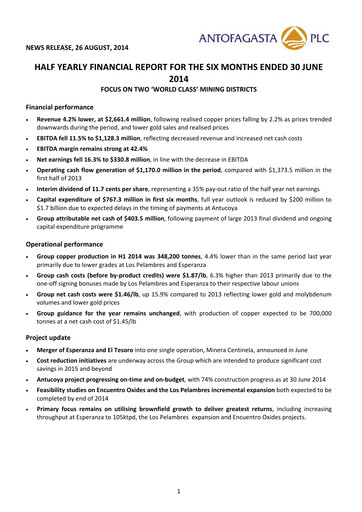 Miniature Antofagasta Rapport semestriel 2014