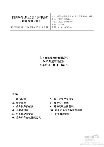 Thumbnail Wuliangye Yibin Financial Statement 2013