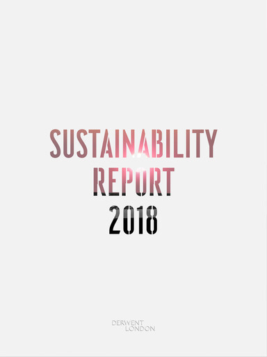Miniature Derwent London Rapport de durabilité 2018